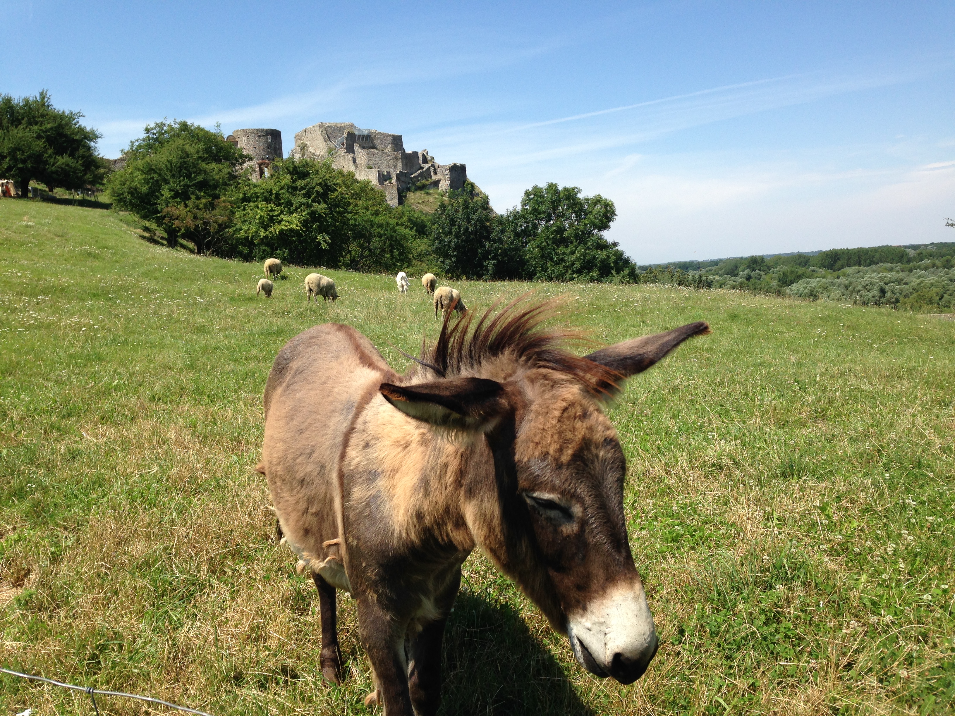 Devin Castle, Bratislava, Slovakia