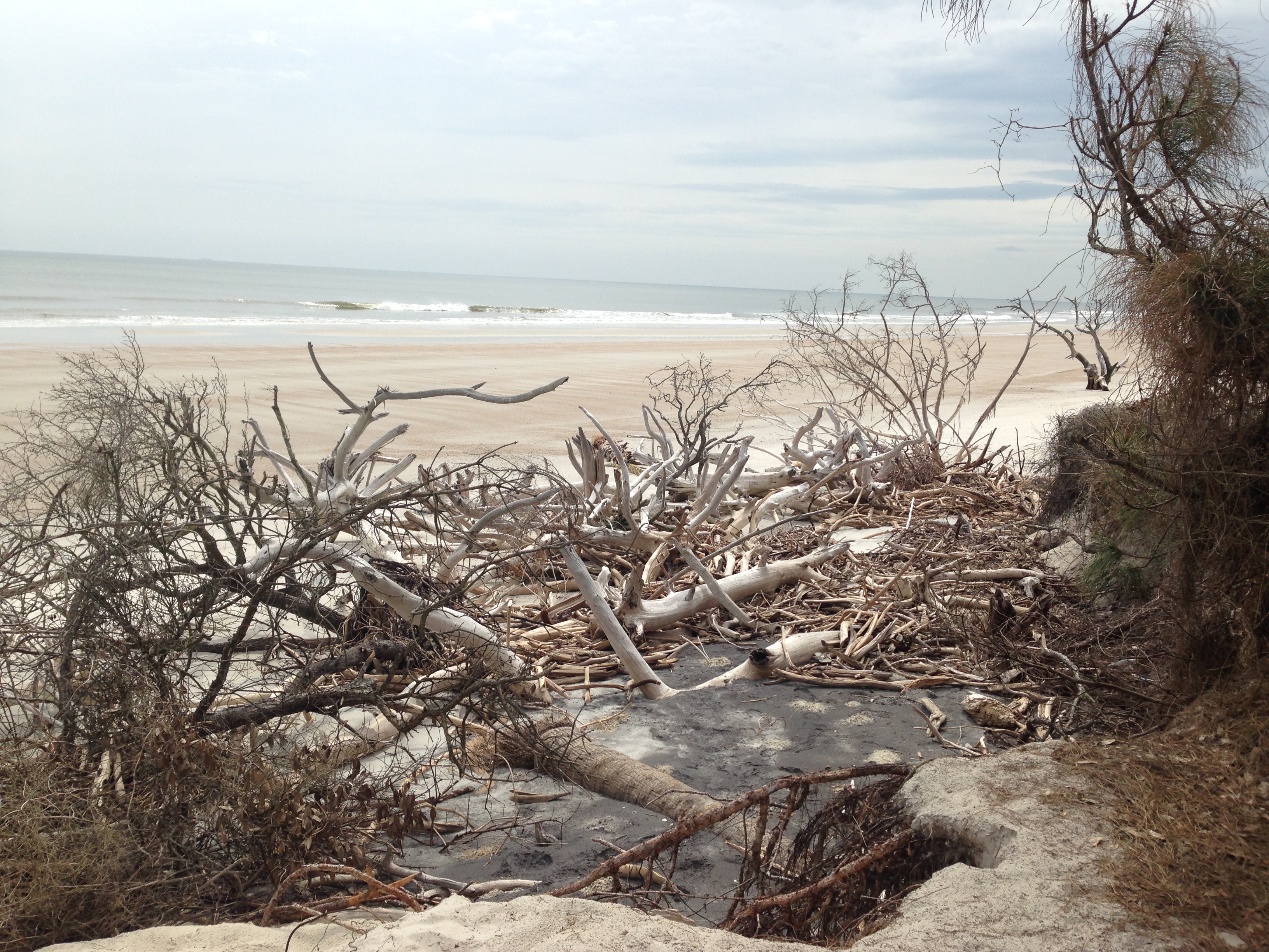 Little Talbot Island State Park, Florida, USA