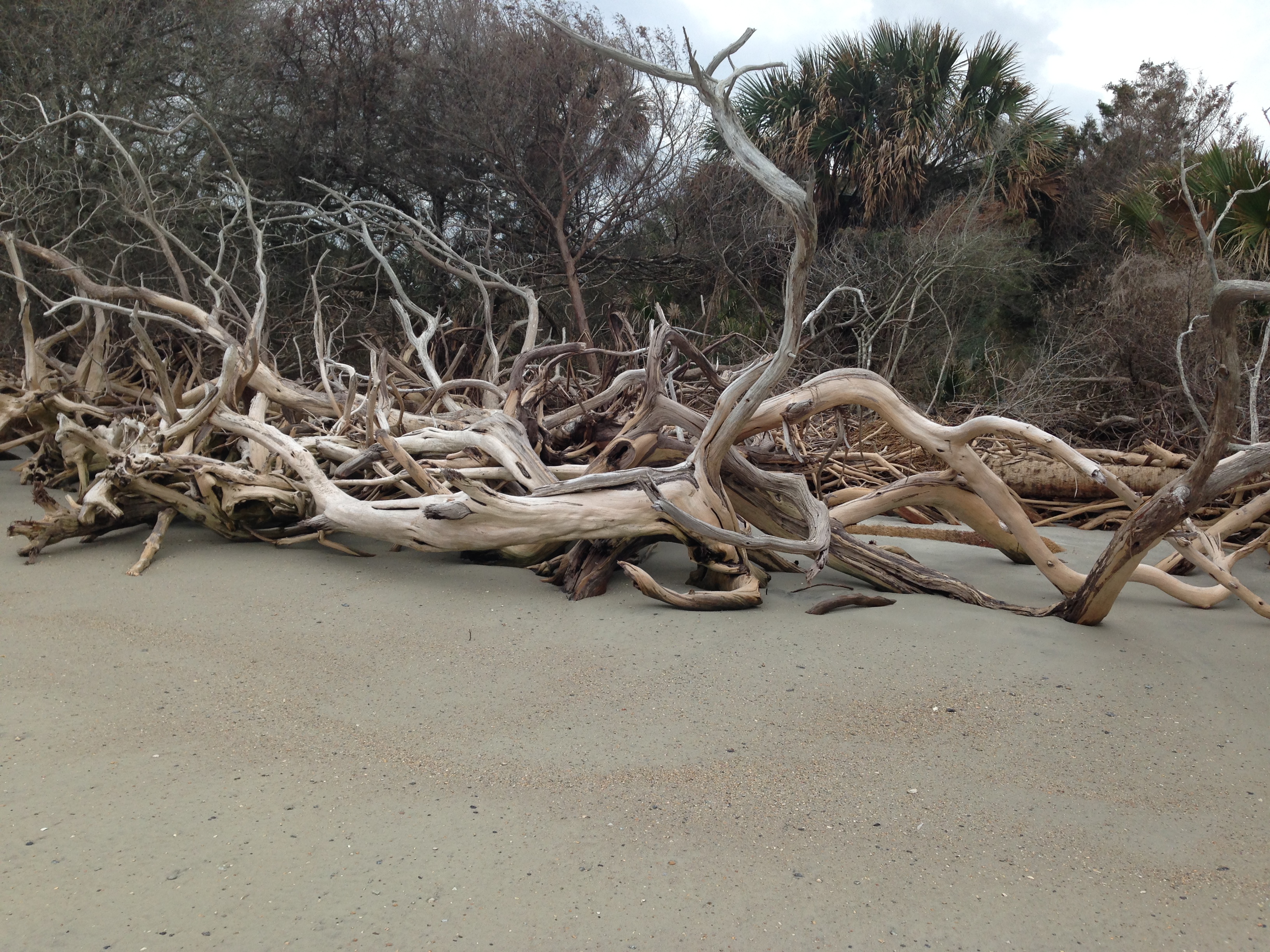 Little Talbot Island State Park, Florida, USA