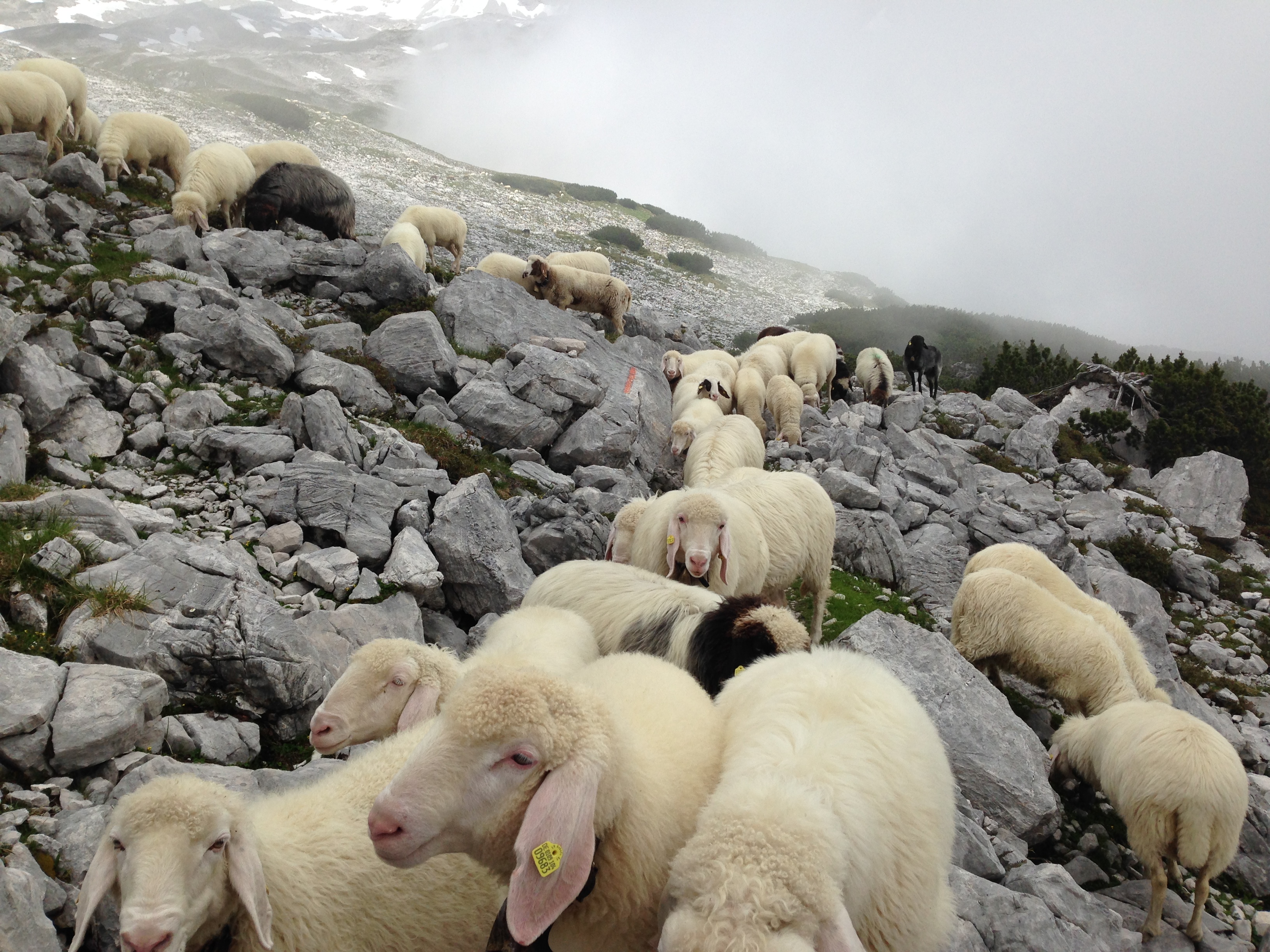 Wetterstein Mountains, Bavaria, Germany